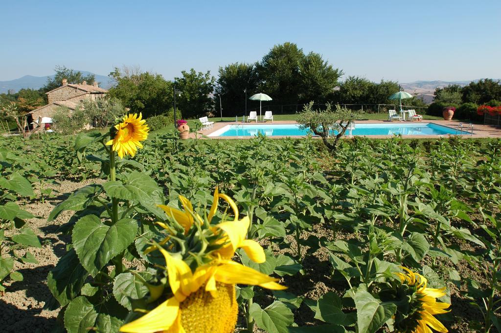 Agriturismo Poggio Porsenna - Con Piscina Villa Proceno Eksteriør bilde