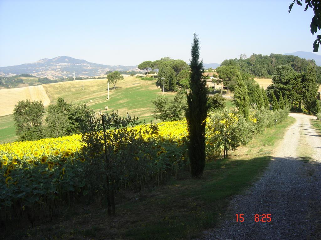Agriturismo Poggio Porsenna - Con Piscina Villa Proceno Eksteriør bilde